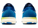Chaussures de running pour homme Asics  Evoride