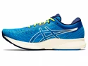Chaussures de running pour homme Asics  Evoride