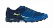 Chaussures de running pour homme Inov-8 Roclite 275 M V2 (M) Blue/Navy/Lime