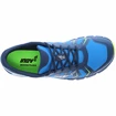 Chaussures de running pour homme Inov-8 Trailfly 250 (s)