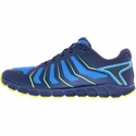 Chaussures de running pour homme Inov-8 Trailfly 250 (s)