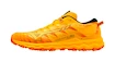 Chaussures de running pour homme Mizuno Wave Daichi 7 Gtx Zinnia/Tigerlily/Black