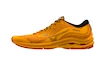 Chaussures de running pour homme Mizuno Wave Rider Gtx Zinnia/Tigerlily/Black