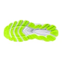 Chaussures de running pour homme Mizuno  Wave Sky 8 Nimbus Cloud/Black/Green Gecko