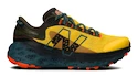 Chaussures de running pour homme New Balance Fresh Foam ROAVv2