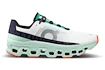 Chaussures de running pour homme On Cloudmonster Undyed-White/Creek
