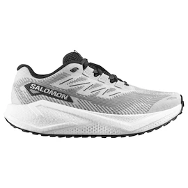 Chaussures de running pour homme Salomon Aero Blaze 3 GRVL Lunar Rock/White/Black