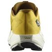 Chaussures de running pour homme Salomon Aero Blaze 3 GRVL Spicy Mustard/Vanilla Ice/Nautical Blue