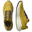 Chaussures de running pour homme Salomon Aero Blaze 3 GRVL Spicy Mustard/Vanilla Ice/Nautical Blue