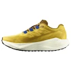 Chaussures de running pour homme Salomon Aero Blaze 3 GRVL Spicy Mustard/Vanilla Ice/Nautical Blue