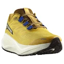 Chaussures de running pour homme Salomon Aero Blaze 3 GRVL Spicy Mustard/Vanilla Ice/Nautical Blue