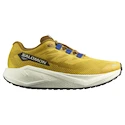 Chaussures de running pour homme Salomon Aero Blaze 3 GRVL Spicy Mustard/Vanilla Ice/Nautical Blue