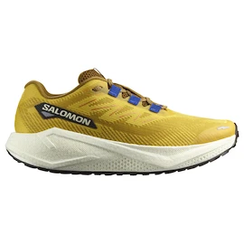 Chaussures de running pour homme Salomon Aero Blaze 3 GRVL Spicy Mustard/Vanilla Ice/Nautical Blue