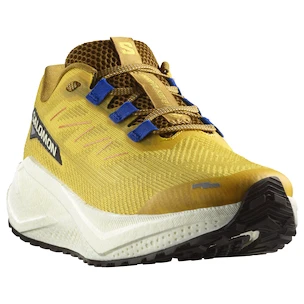 Chaussures de running pour homme Salomon Aero Blaze 3 GRVL Spicy Mustard/Vanilla Ice/Nautical Blue