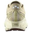 Chaussures de running pour homme Salomon Aero Glide 3 GRVL Green Haze/Vanilla Ice/Russet