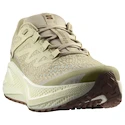Chaussures de running pour homme Salomon Aero Glide 3 GRVL Green Haze/Vanilla Ice/Russet