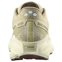 Chaussures de running pour homme Salomon Aero Glide 3 GRVL Green Haze/Vanilla Ice/Russet
