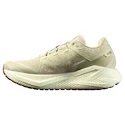 Chaussures de running pour homme Salomon Aero Glide 3 GRVL Green Haze/Vanilla Ice/Russet