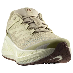 Chaussures de running pour homme Salomon Aero Glide 3 GRVL Green Haze/Vanilla Ice/Russet