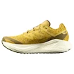 Chaussures de running pour homme Salomon Aero Glide 3 GRVL Spicy Mustard/Vanilla Ice/Deep Lichen Green