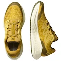 Chaussures de running pour homme Salomon Aero Glide 3 GRVL Spicy Mustard/Vanilla Ice/Deep Lichen Green