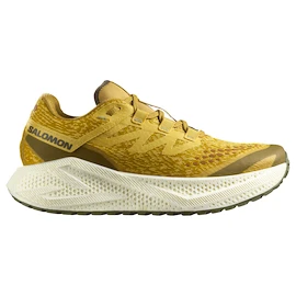 Chaussures de running pour homme Salomon Aero Glide 3 GRVL Spicy Mustard/Vanilla Ice/Deep Lichen Green