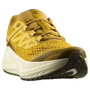 Chaussures de running pour homme Salomon Aero Glide 3 GRVL Spicy Mustard/Vanilla Ice/Deep Lichen Green