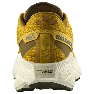 Chaussures de running pour homme Salomon Aero Glide 3 GRVL Spicy Mustard/Vanilla Ice/Deep Lichen Green