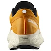 Chaussures de running pour homme Salomon Aero Glide 3 Turmeric/White/Black
