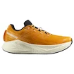 Chaussures de running pour homme Salomon Aero Glide 3 Turmeric/White/Black