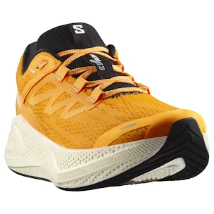 Chaussures de running pour homme Salomon Aero Glide 3 Turmeric/White/Black
