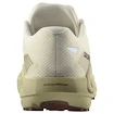 Chaussures de running pour homme Salomon DRX Defy Grvl Vanilla Ice/Green Haze/White Pepper