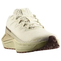 Chaussures de running pour homme Salomon DRX Defy Grvl Vanilla Ice/Green Haze/White Pepper