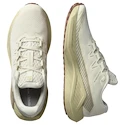Chaussures de running pour homme Salomon DRX Defy Grvl Vanilla Ice/Green Haze/White Pepper