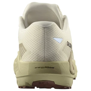 Chaussures de running pour homme Salomon DRX Defy Grvl Vanilla Ice/Green Haze/White Pepper