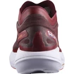 Chaussures de running pour homme Salomon Phantasm Biking Red/Purple Heart