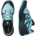 Chaussures de running pour homme Salomon Pulsar Trail