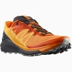 Chaussures de running pour homme Salomon  Sense Ride 4 Vibrant Orange / Ebony FW22