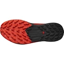 Chaussures de running pour homme Salomon Sense Ride 5