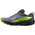Chaussures de running pour homme Salomon SENSE RIDE 5 GTX Flint/Black/Grgeck