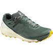 Chaussures de running pour homme Salomon Sense Ride