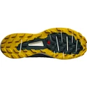 Chaussures de running pour homme Salomon Sense Ride