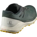 Chaussures de running pour homme Salomon Sense Ride