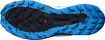 Chaussures de running pour homme Salomon Sense Ride Blue Aster