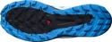 Chaussures de running pour homme Salomon Sense Ride Blue Aster