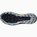 Chaussures de running pour homme Salomon Sense Ride Sense Ride 4 Vibrant Orange / Ebony