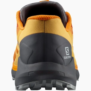 Chaussures de running pour homme Salomon Sense Ride Sense Ride 4 Vibrant Orange / Ebony