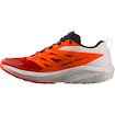 Chaussures de running pour homme Salomon Sense Ride SENSE RIDE 5