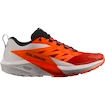 Chaussures de running pour homme Salomon Sense Ride SENSE RIDE 5