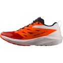 Chaussures de running pour homme Salomon Sense Ride SENSE RIDE 5